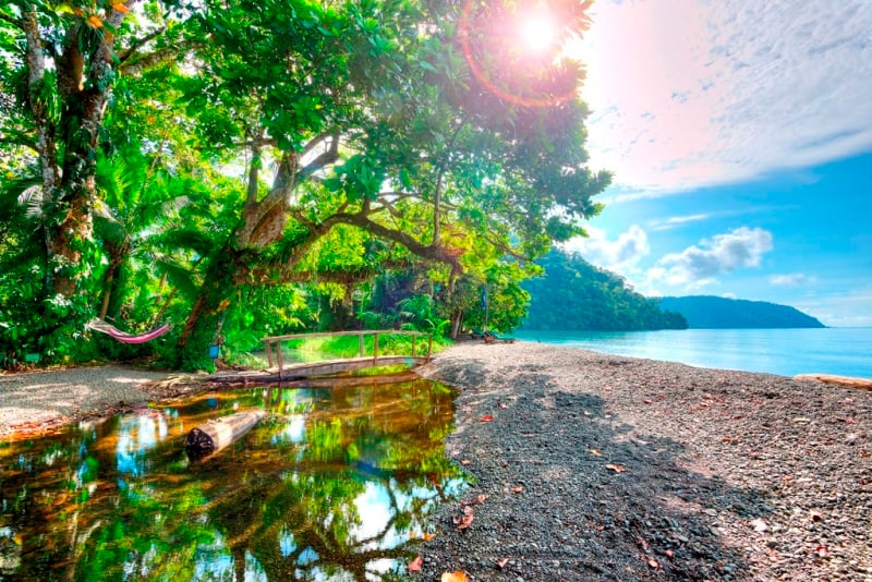 Unmatched-green-season-specials-at-nicuesa-rainforest-lodge