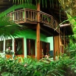 Mango-Guesthouse-rooms