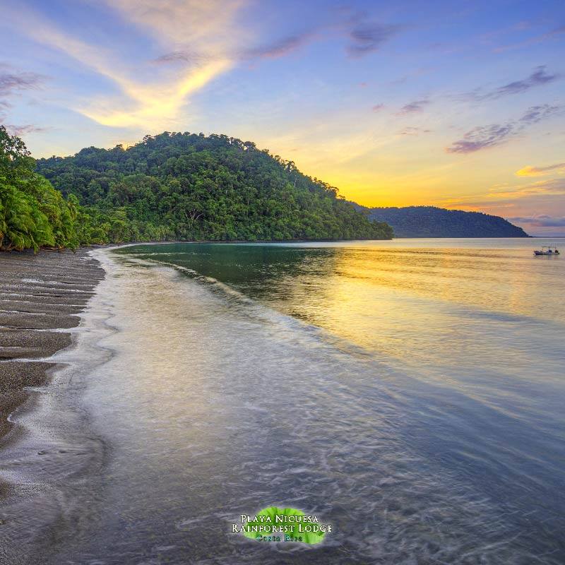 Playa Nicuesa Rainforest Lodge, Golfo Dulce, Costa Rica