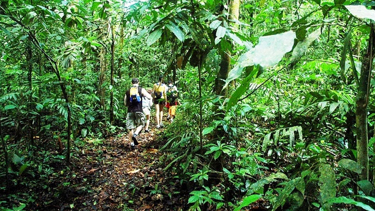 Hiking in the rainforest at Playa Nicuesa Rainforest Lodge in Costa Rica