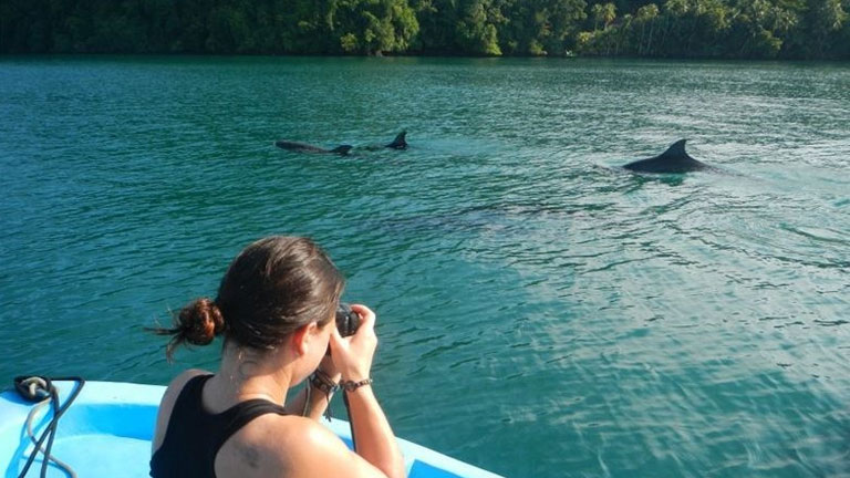 Dolphins in the gulf of Golfo Dulce by Playa Nicuesa Rainforest Lodge, Costa Rica