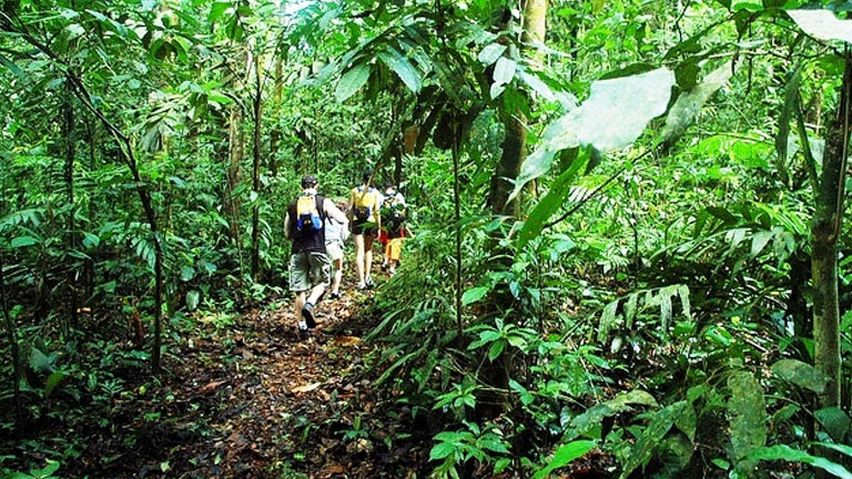 Hiking in the Playa Nicuesa Rainforest Lodge private reserve