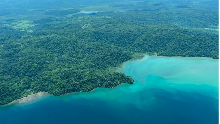 Embrace Nature's Finest: The Golfo Dulce During the Green Season