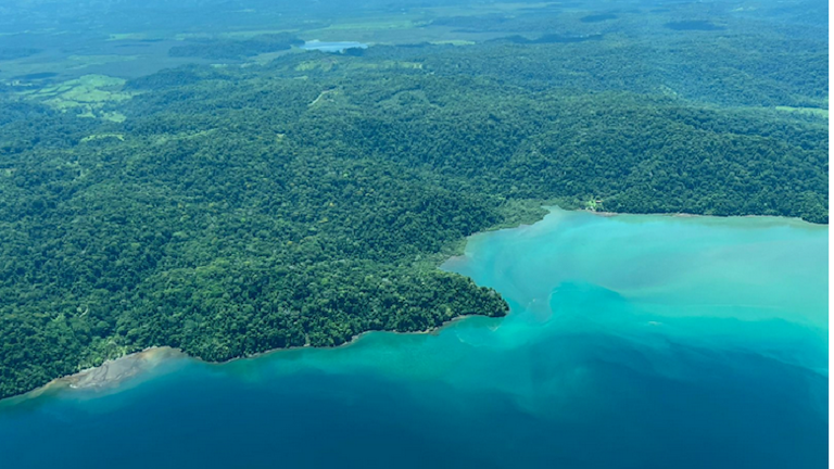 The Biodiversity of the Southern Pacific