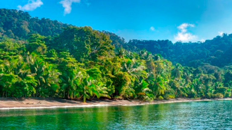 Breathtaking Secrets of Southern Costa Rica