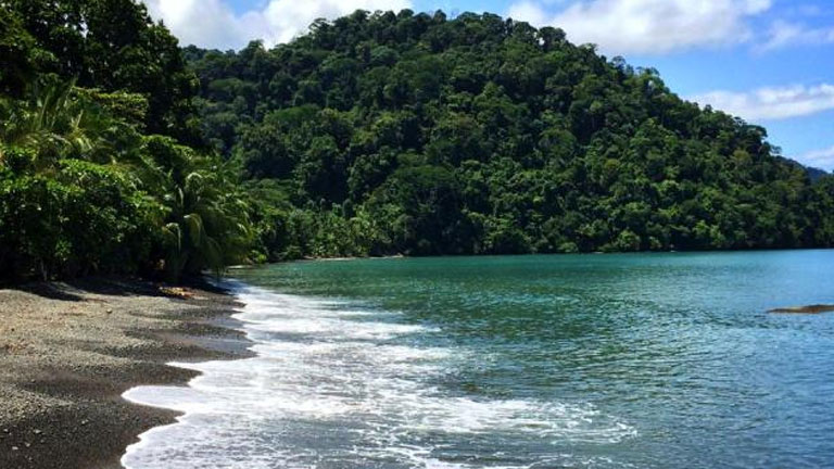 The beach at Playa Nicuesa Rainforest Lodge on the gulf of Golfo Dulce in Costa Rica