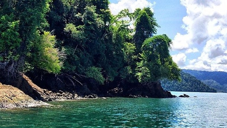 The gulf of Golfo Dulce by the Osa Peninsula is one of Costa Rica's most beautiful places