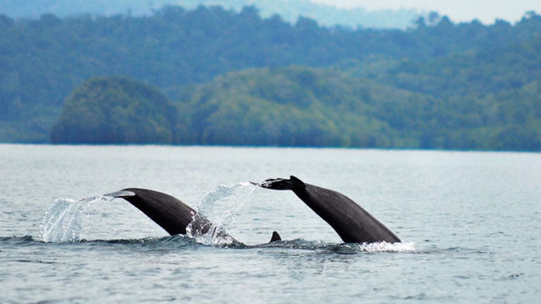 Costa Rica Pledges to Expand Ocean Conservation