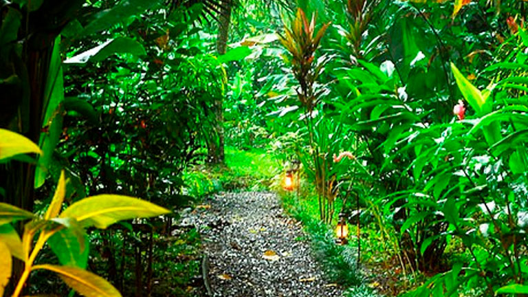 Playa Nicuesa Rainforest Lodge is deeply committed to sustainable tourism and protecting the environment