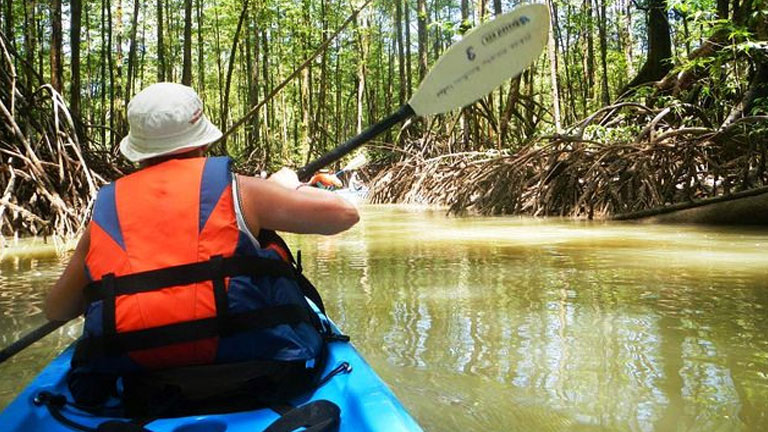 Take the Rio Esquinas mangrove kayaking tour when you stay at Playa Nicuesa Rainforest Lodge