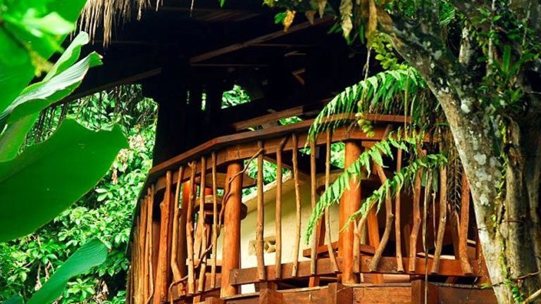 Playa Nicuesa Rainforest Lodge in Costa Rica was designed and built in harmony with the environment