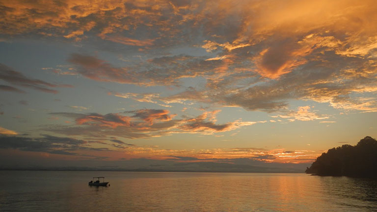 Golfo Dulce: a unique ecosystem in the world