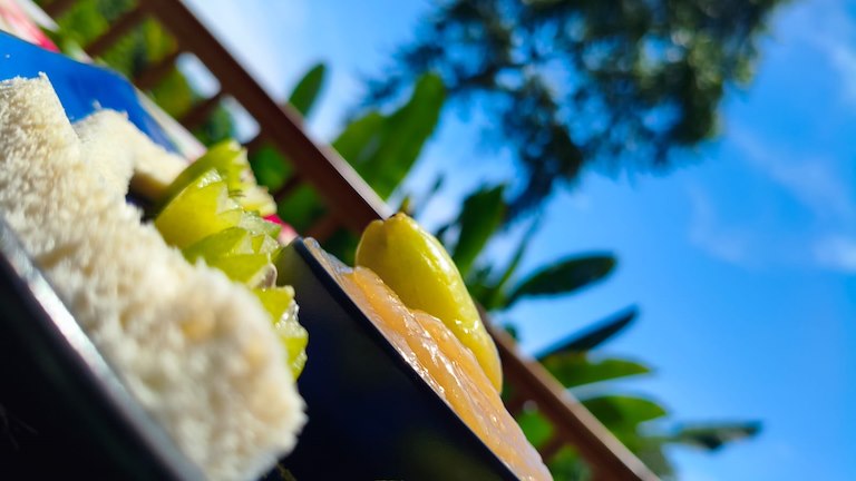 flavors-of-the-rainforest-discovering-araza-and-mimbro-at-nicuesa-lodge