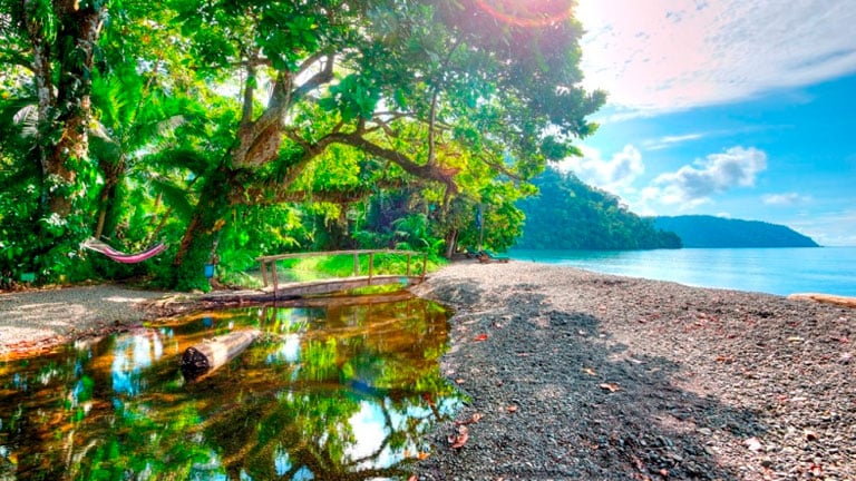 Tropical paradise at Nicuesa Rainforest Lodge in Costa Rica