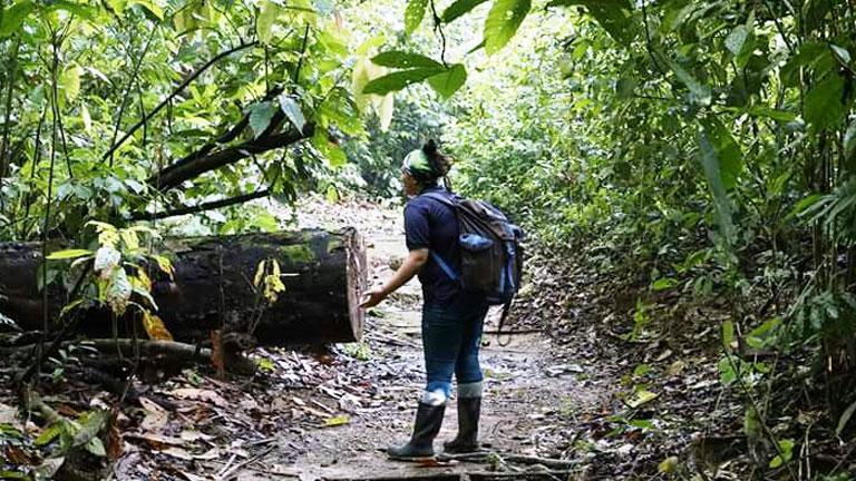 Meet our Guides at Nicuesa Lodge