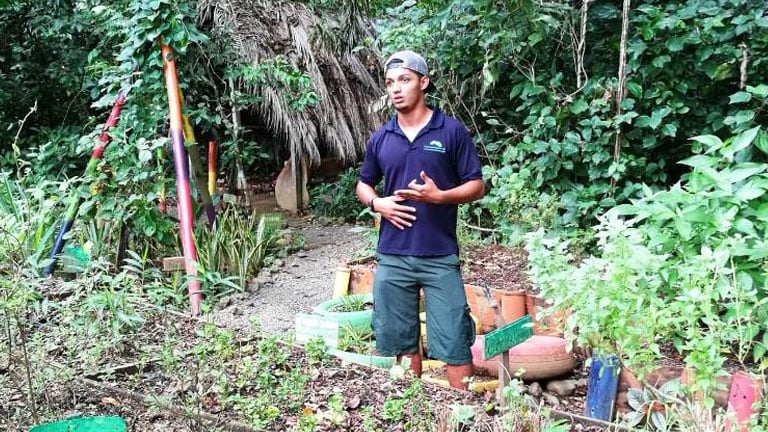 Nicuesa Lodge guide Josue Quesada teaches visitors where their meals come from on the Edible Plant Tour