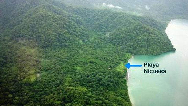 Playa Nicuesa Rainforest Lodge and private reserve on Golfo Dulce in Costa Rica