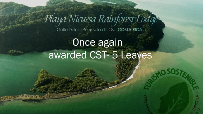 Playa Nicuesa Rainforest Lodge awarded CST 5 Leaves