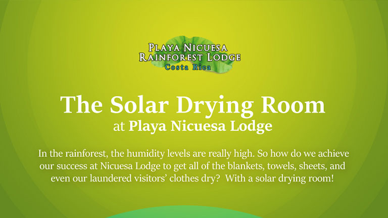 The Solar Dryer Room at Playa Nicuesa