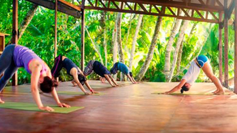 Why Nicuesa Lodge Should Be Your Next Yoga Retreat in Paradise