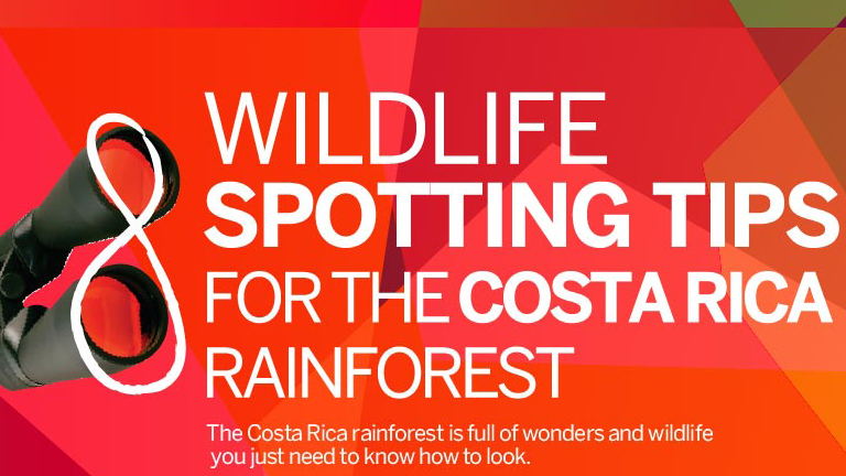 Infographic Wildlife spotting tips