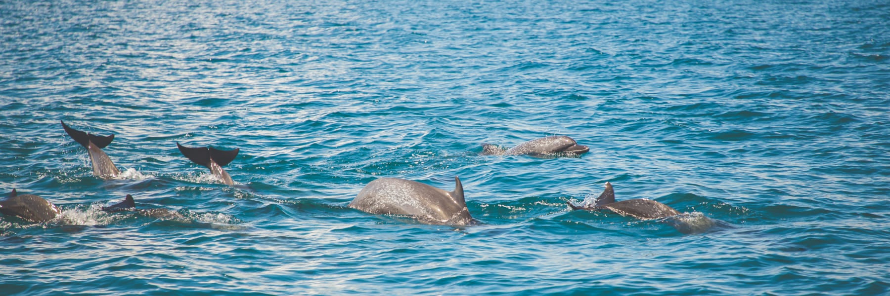 Ocean Activities at Puerto Jimenez