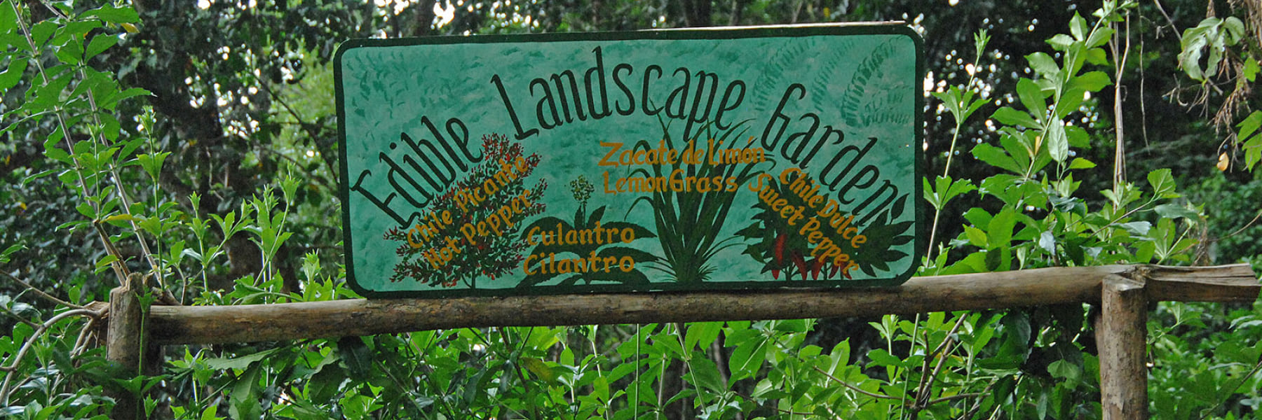 Sustainability in Playa Nicuesa Rainforest Lodge Hotel, Puerto Jimenez