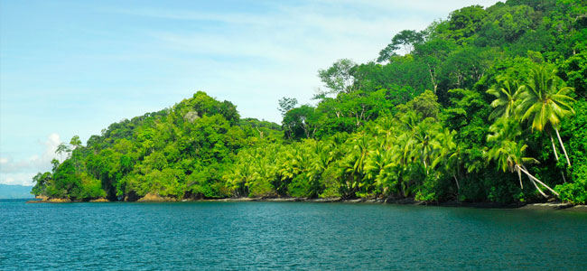 Rainforest Multisport Escapade at Puerto Jimenez Lodge