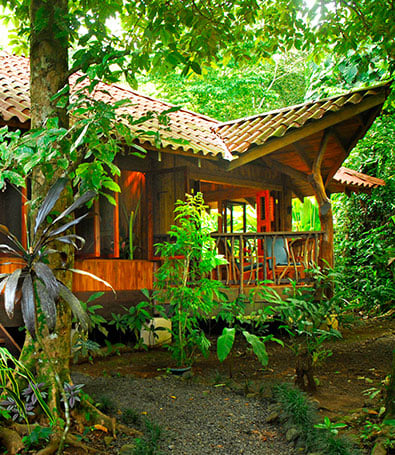 Cabin Suite at Playa Nicuesa Rainforest Lodge, Osa Peninsula