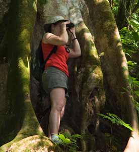 Rainforest Adventures at Osa Peninsula