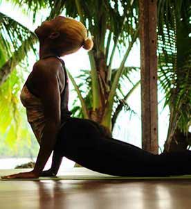 Yoga and Wellness at Osa Peninsula